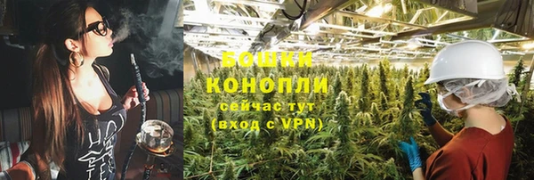 СК Горняк
