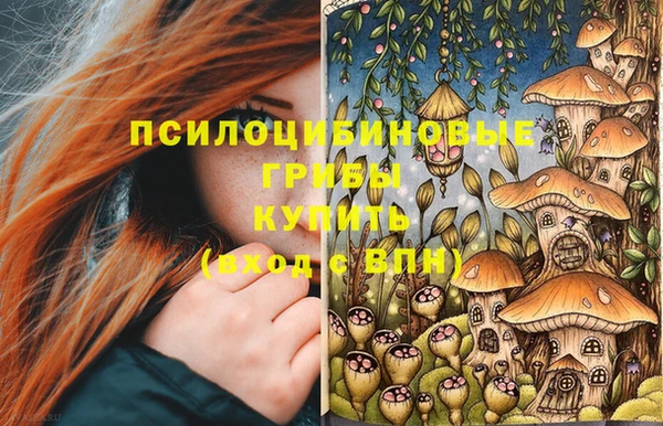 СК Горняк