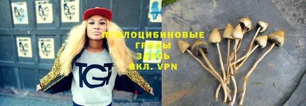 СК Горняк