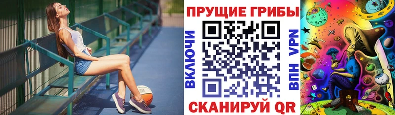даркнет сайт Березники Псилоцибиновые грибы Psilocybe