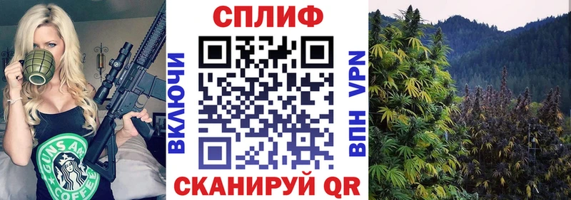 Каннабис AK-47  где купить наркотик  Березники 